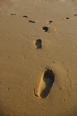 footsteps